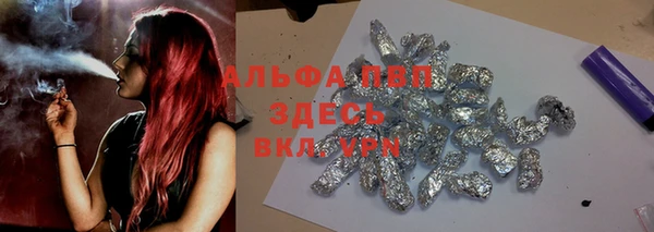твердый Дмитров