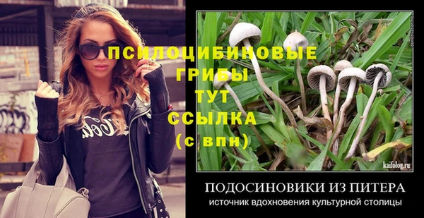 твердый Дмитров