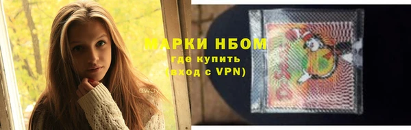 твердый Дмитров