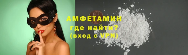 твердый Дмитров