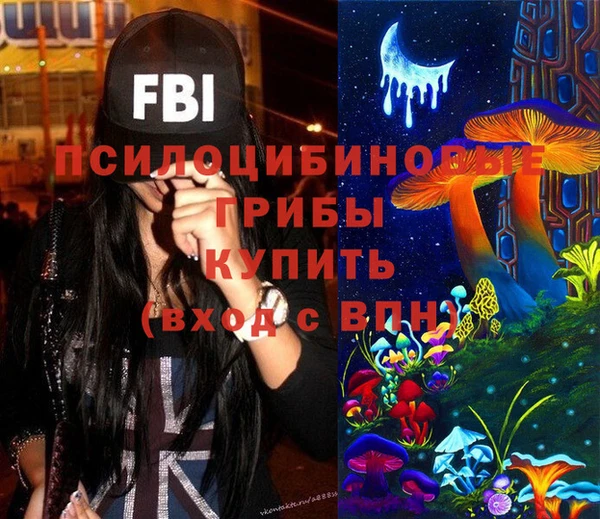 твердый Дмитров