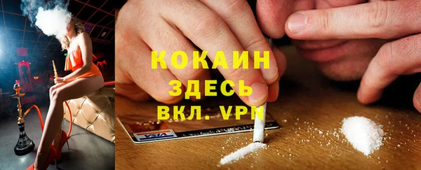 твердый Дмитров