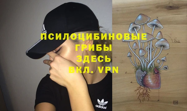 твердый Дмитров