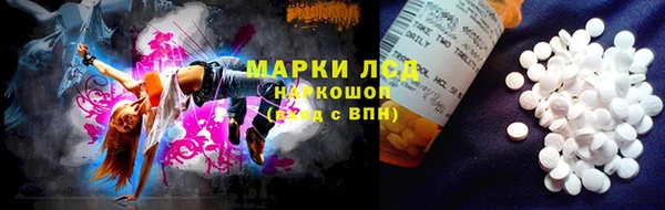 твердый Дмитров