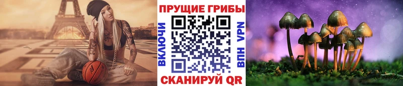 Псилоцибиновые грибы мухоморы  где найти   Кызыл 